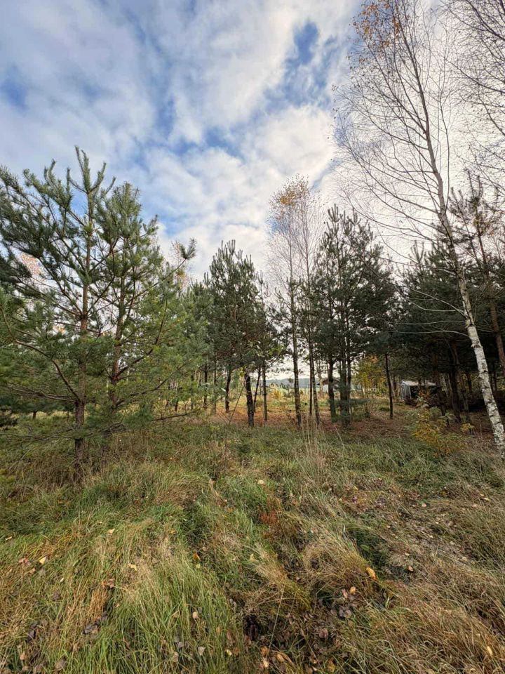 Działka rekreacyjna Osowo Leśne. Zdjęcie 7