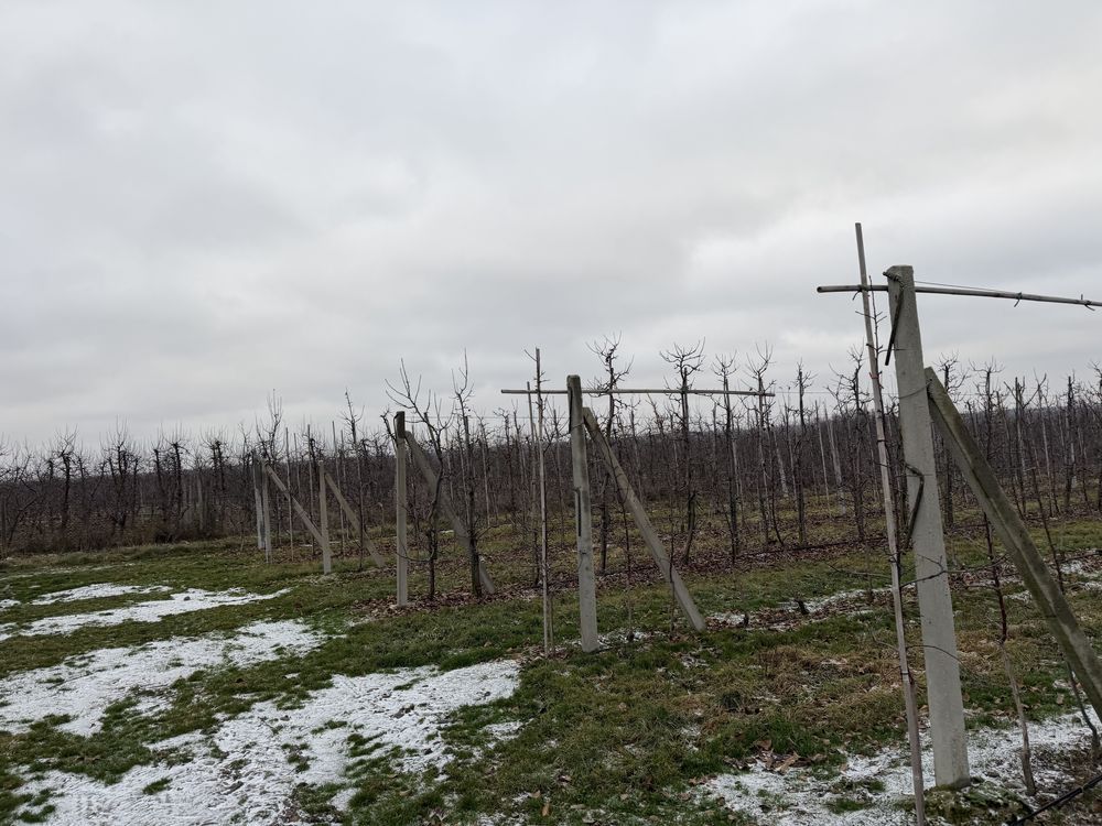 Działka rolna Grzymkowice. Zdjęcie 7