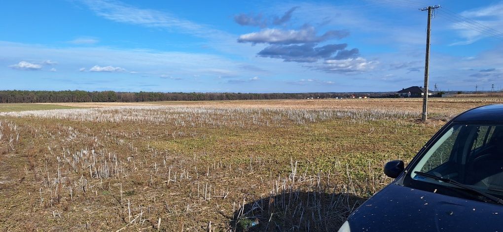 Działka budowlana Charlęż. Zdjęcie 7