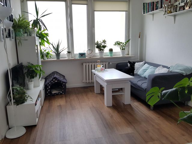 Mieszkanie 2-pokojowe Warszawa Praga-Południe, ul. Jarocińska. Zdjęcie 1