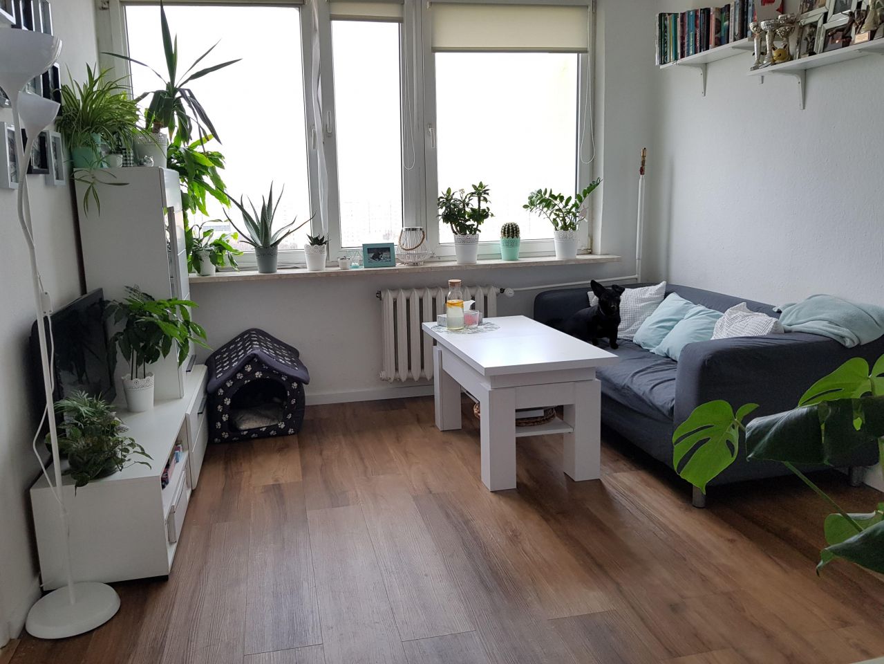 Mieszkanie 2-pokojowe Warszawa Praga-Południe, ul. Jarocińska