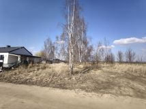 Działka inwestycyjna Bielice. Zdjęcie 4