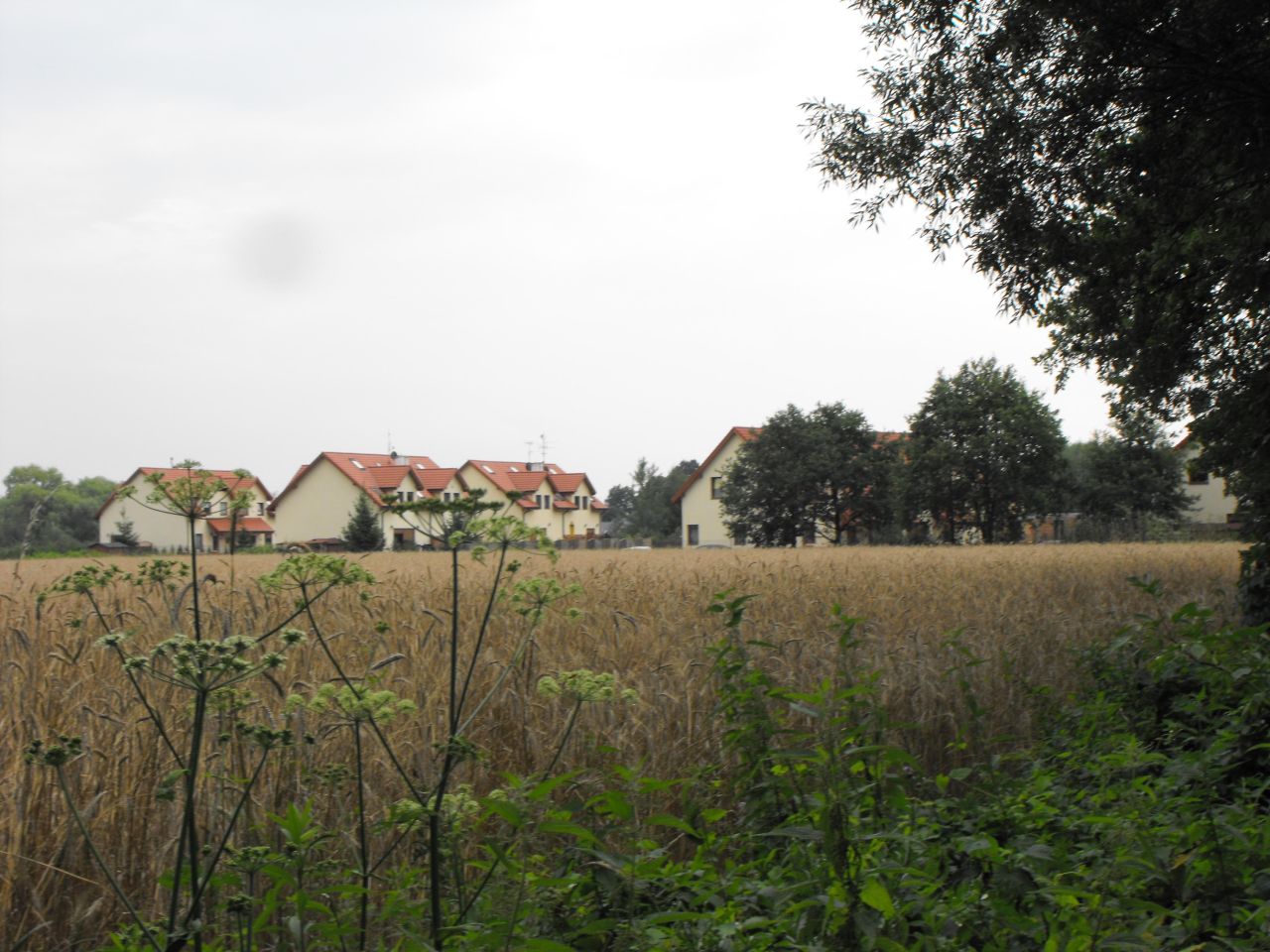 Działka budowlana Kiełczówek, ul. Wilczycka. Zdjęcie 3