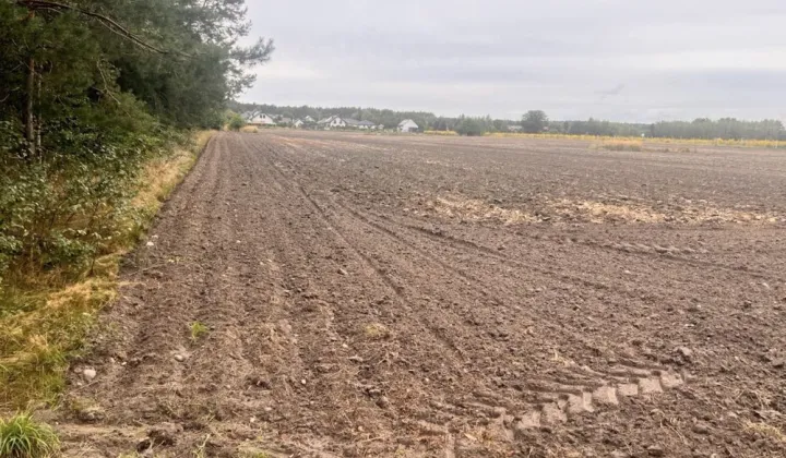 Działka budowlana Borowa
