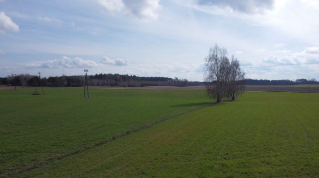 Działka budowlana Będzeń. Zdjęcie 1