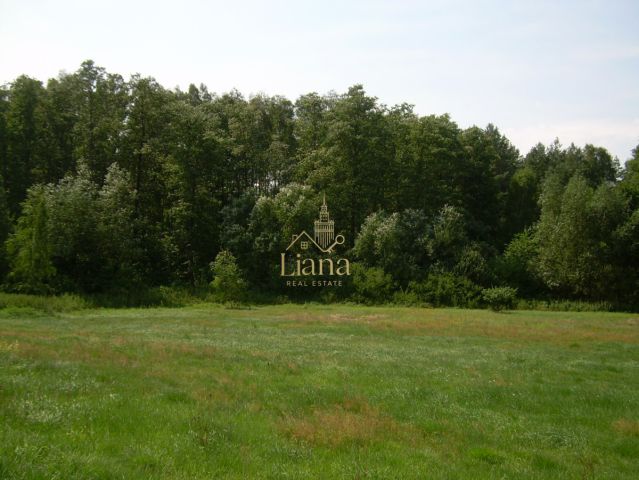 Działka budowlana Kobyla. Zdjęcie 6