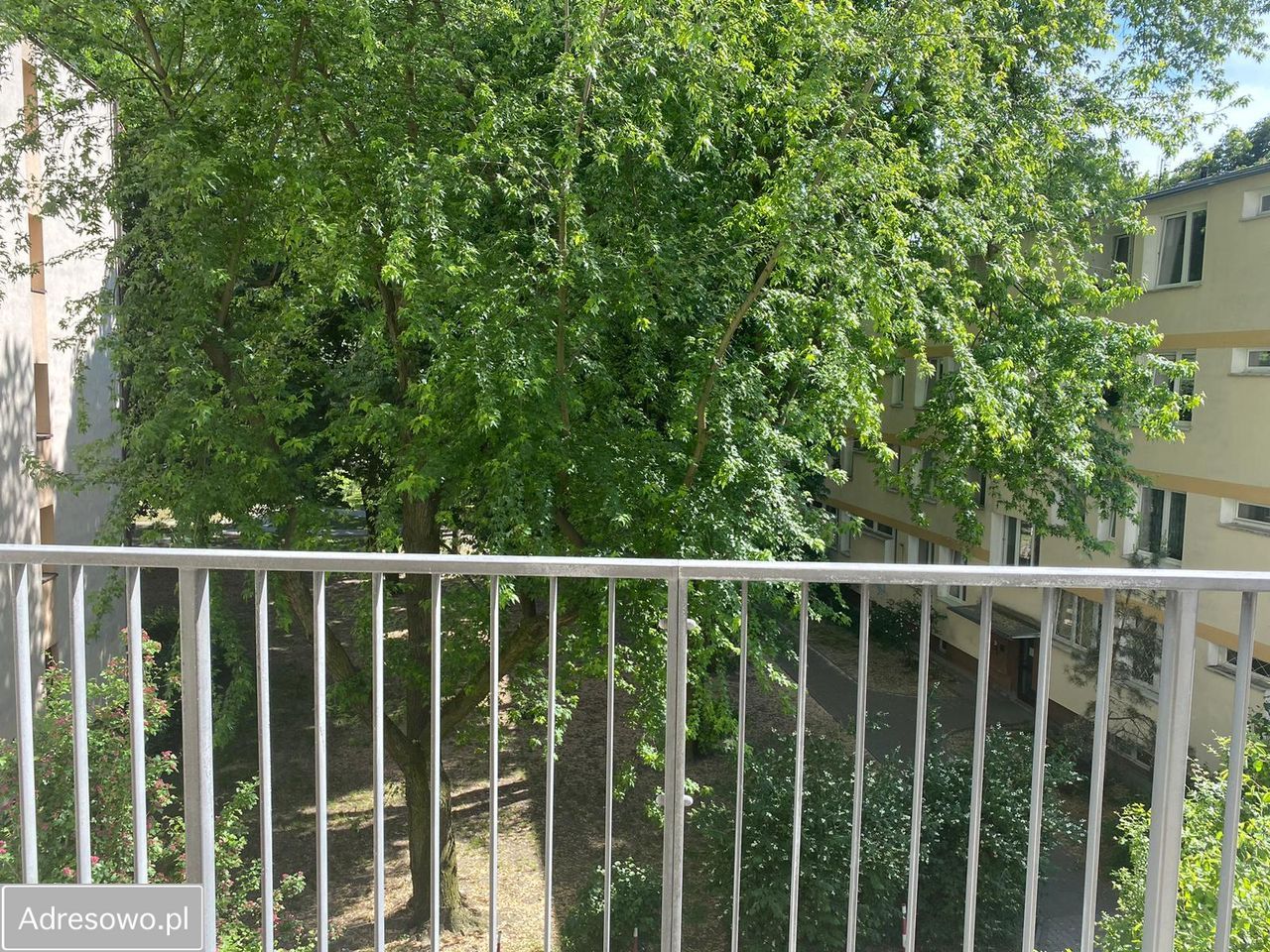 Mieszkanie 2-pokojowe Warszawa Saska Kępa, ul. Zwycięzców. Zdjęcie 6