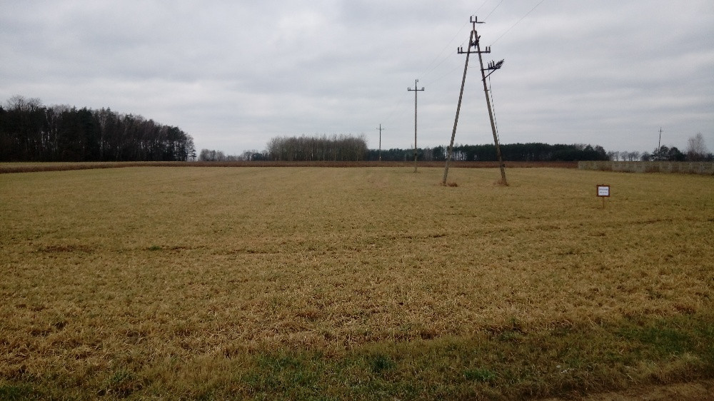 Działka rolna Lubocha. Zdjęcie 5