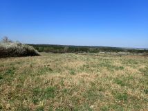 Działka rolna Siedlec. Zdjęcie 2