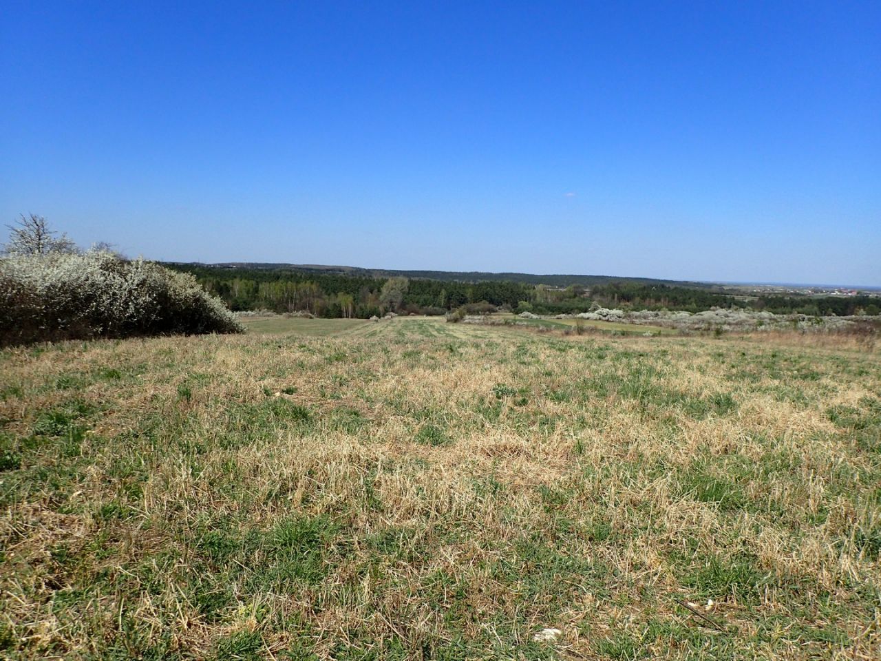 Działka rolna Siedlec. Zdjęcie 3