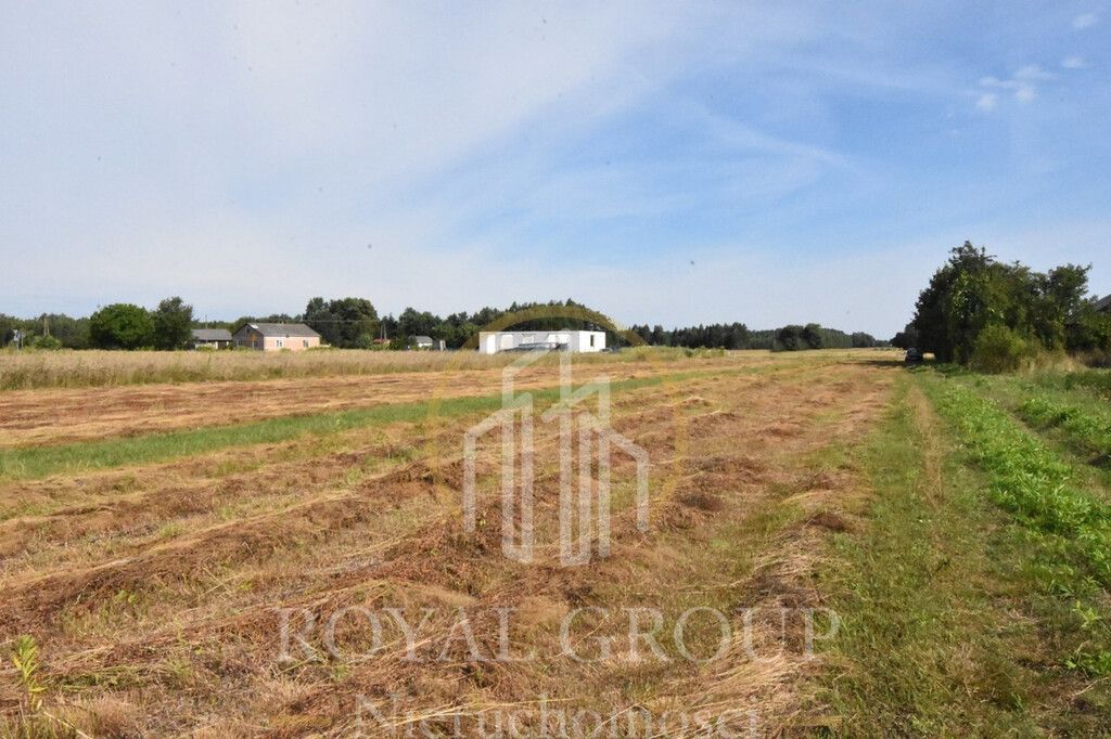 Działka siedliskowa Siedliska. Zdjęcie 3