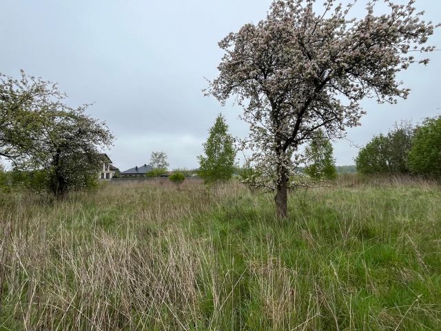 Działka budowlana Chrosna. Zdjęcie 1