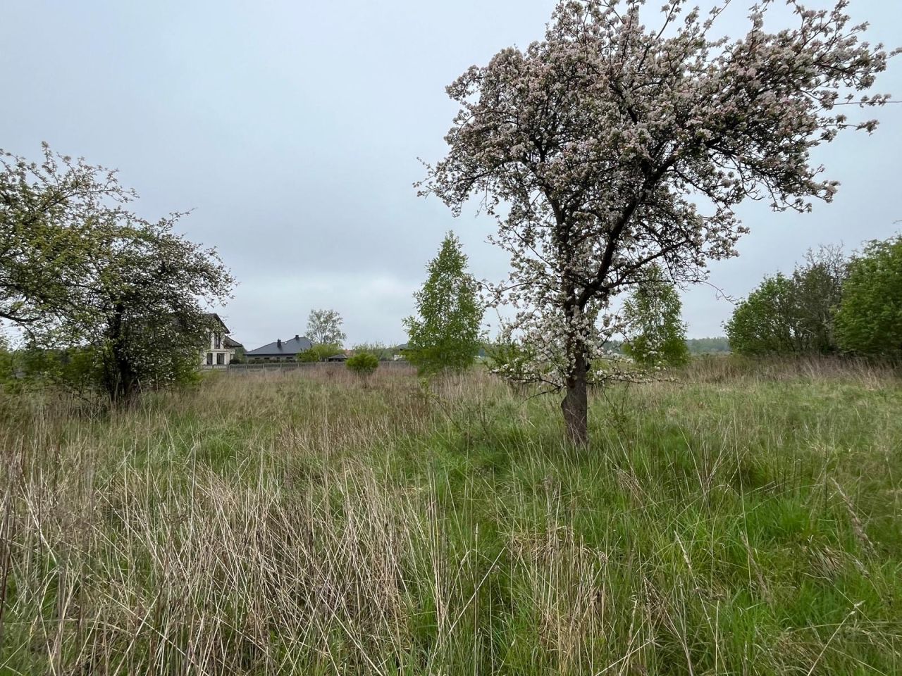 Działka budowlana Chrosna