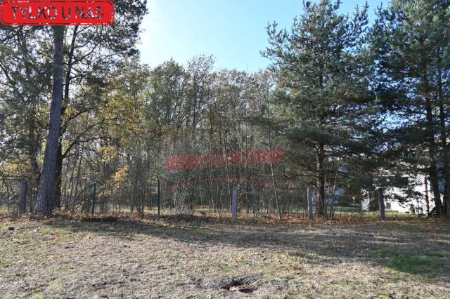 dom wolnostojący, 5 pokoi Dylaki. Zdjęcie 6