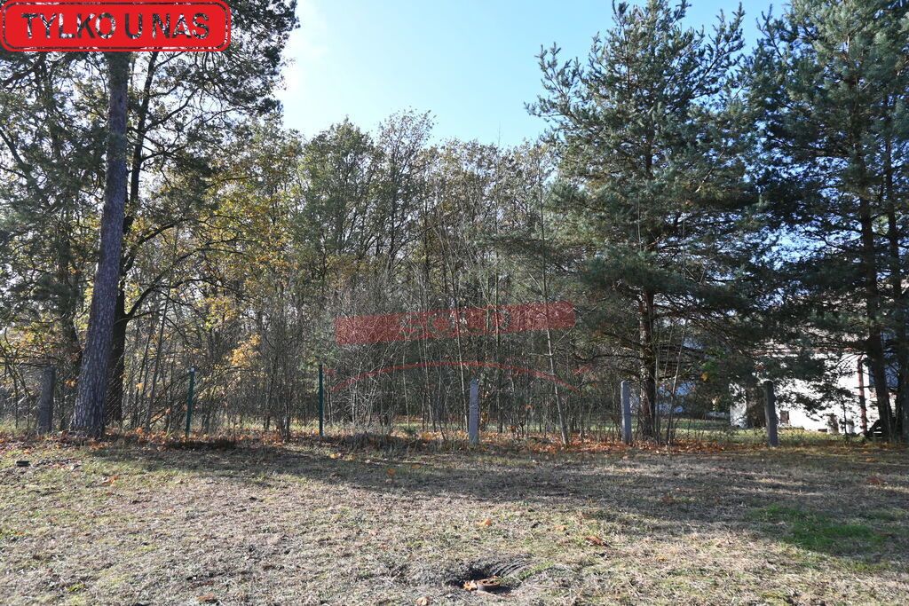 dom wolnostojący, 5 pokoi Dylaki. Zdjęcie 6