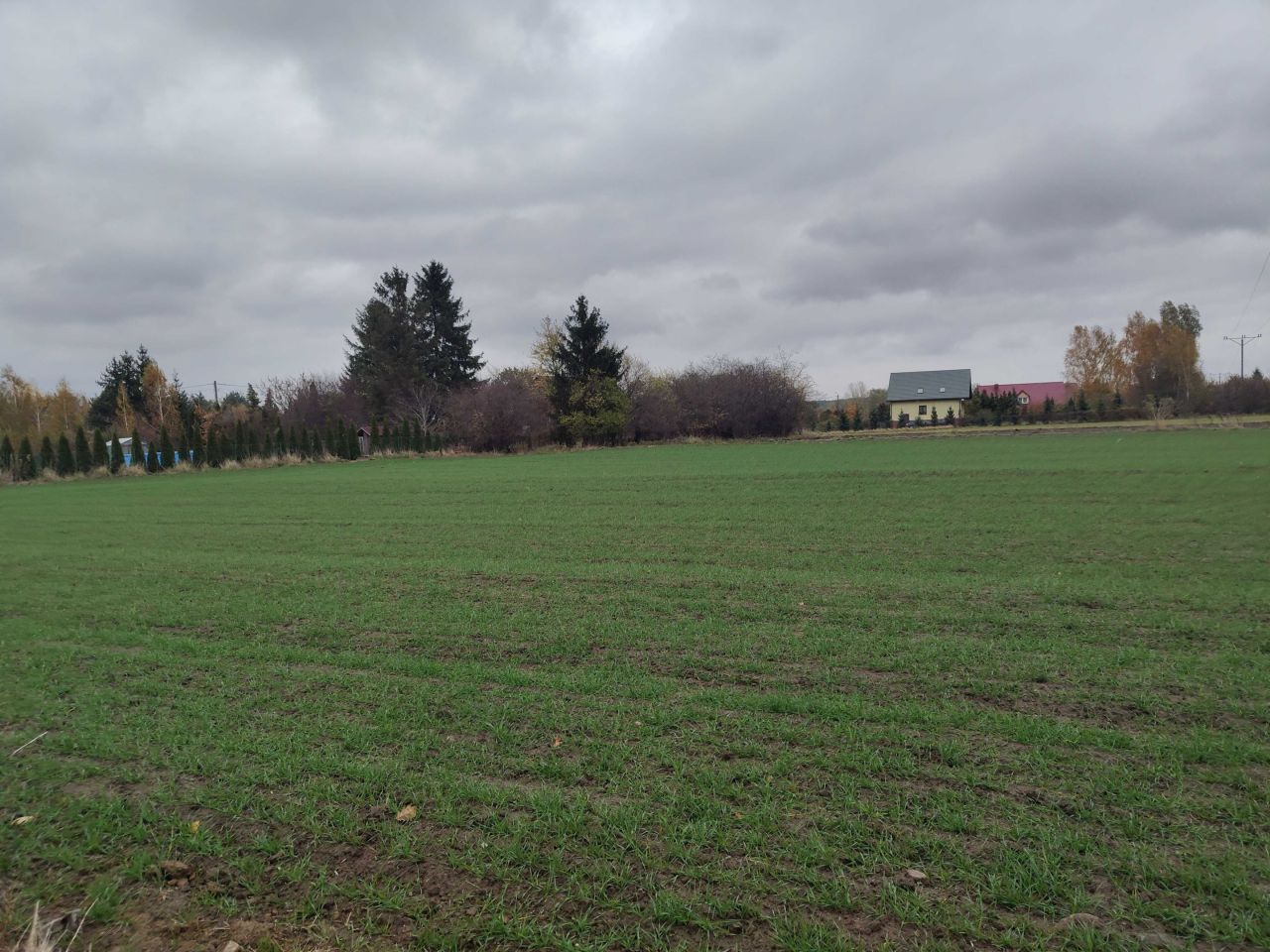 Działka budowlana Rumunki Podgłodowskie. Zdjęcie 3