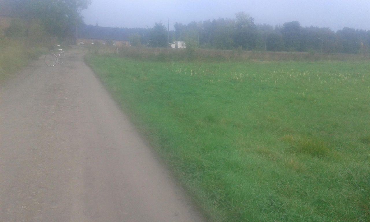 Działka rolno-budowlana Brójce, ul. 1 Maja