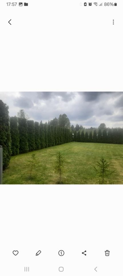Działka rod Kielce Białogon, ul. Janowska. Zdjęcie 3