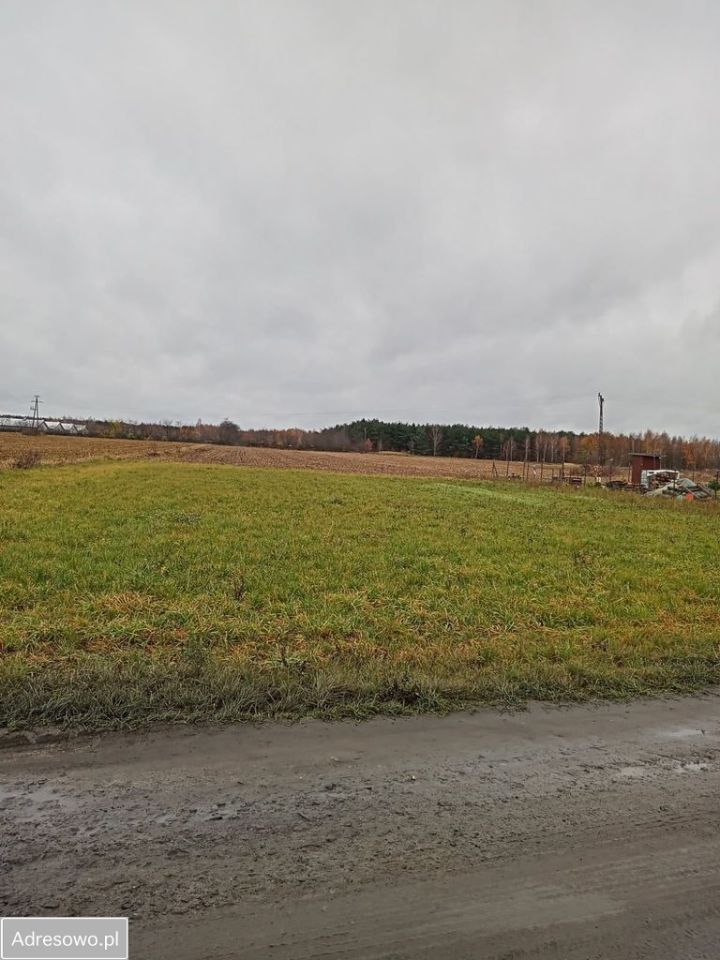 Działka budowlana Wszemirów