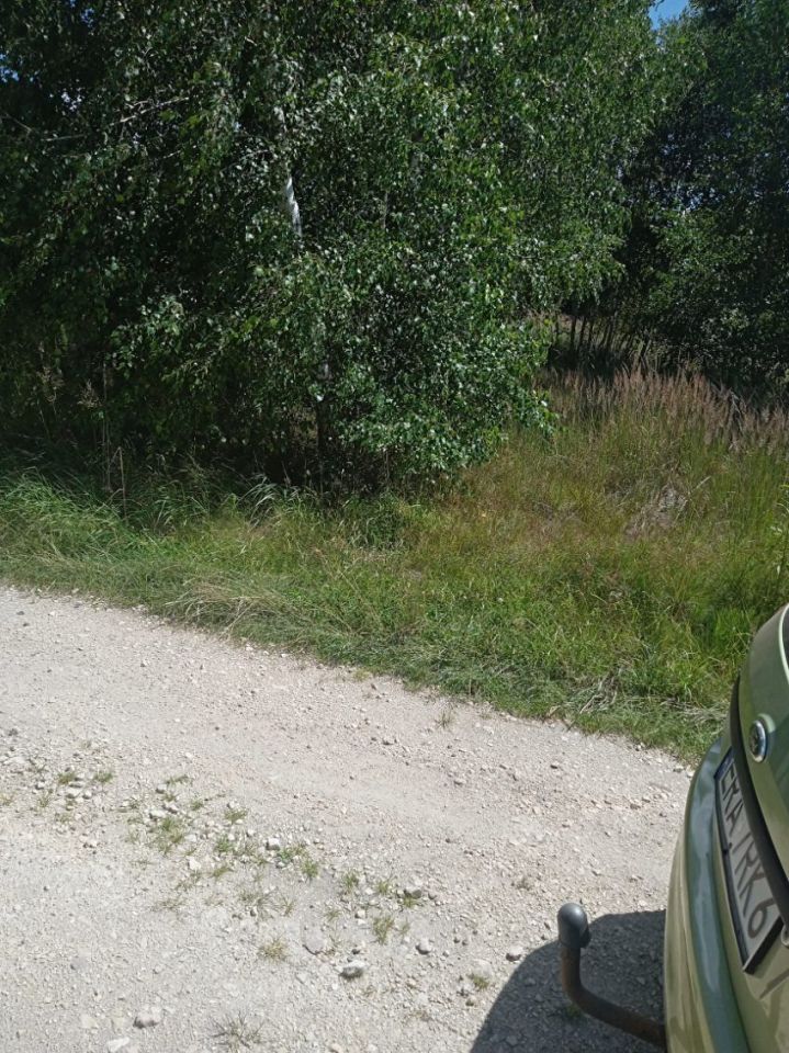 Działka rolna Grodzisko. Zdjęcie 2