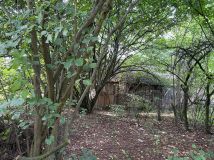 Działka rolno-budowlana Gruszczyce. Zdjęcie 4