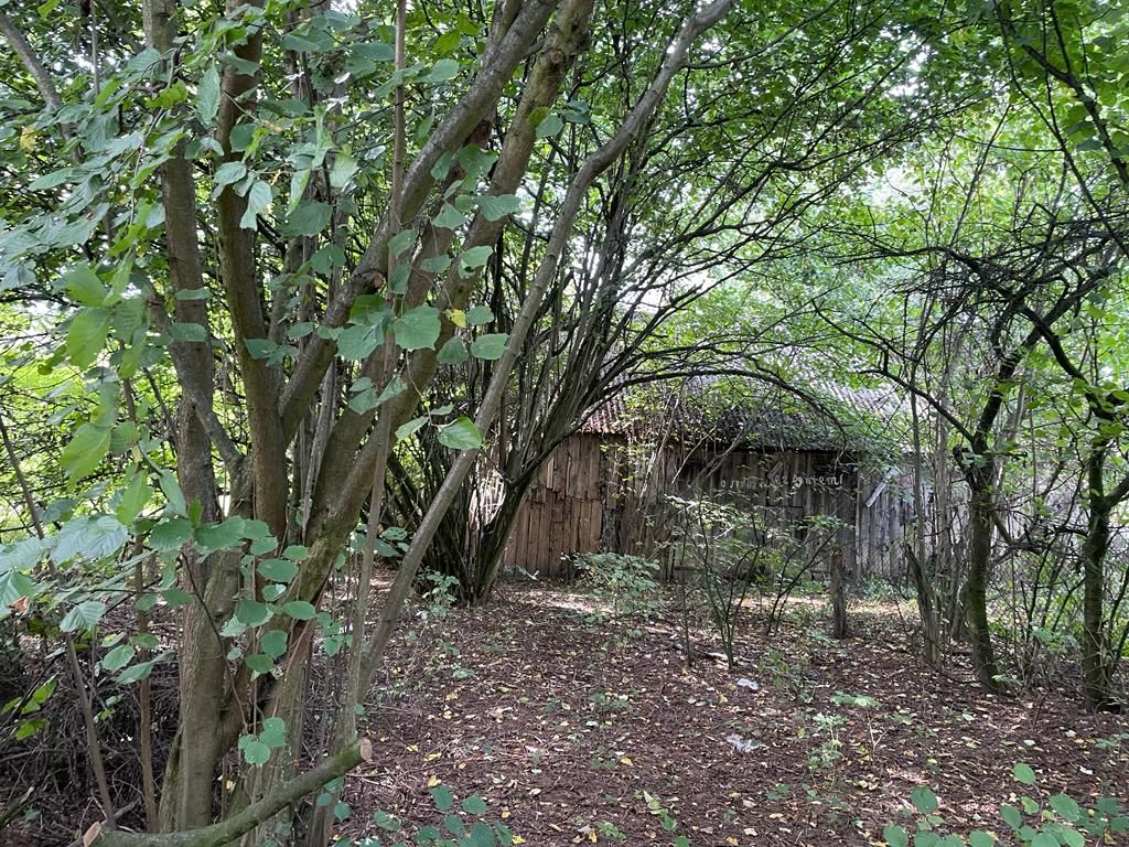 Działka rolno-budowlana Gruszczyce. Zdjęcie 5