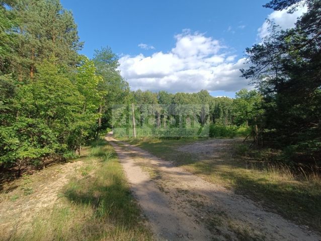 Działka Warszawa Wawer. Zdjęcie 3