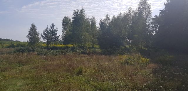 Działka budowlana Pogorzałe Ługi. Zdjęcie 15