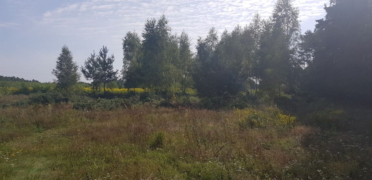 Działka budowlana Pogorzałe Ługi. Zdjęcie 15