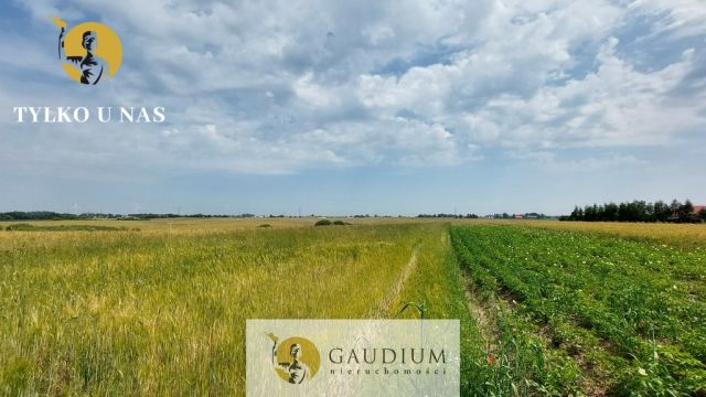 Działka inwestycyjna Sztum. Zdjęcie 4