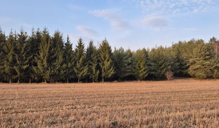 Działka budowlana Osie