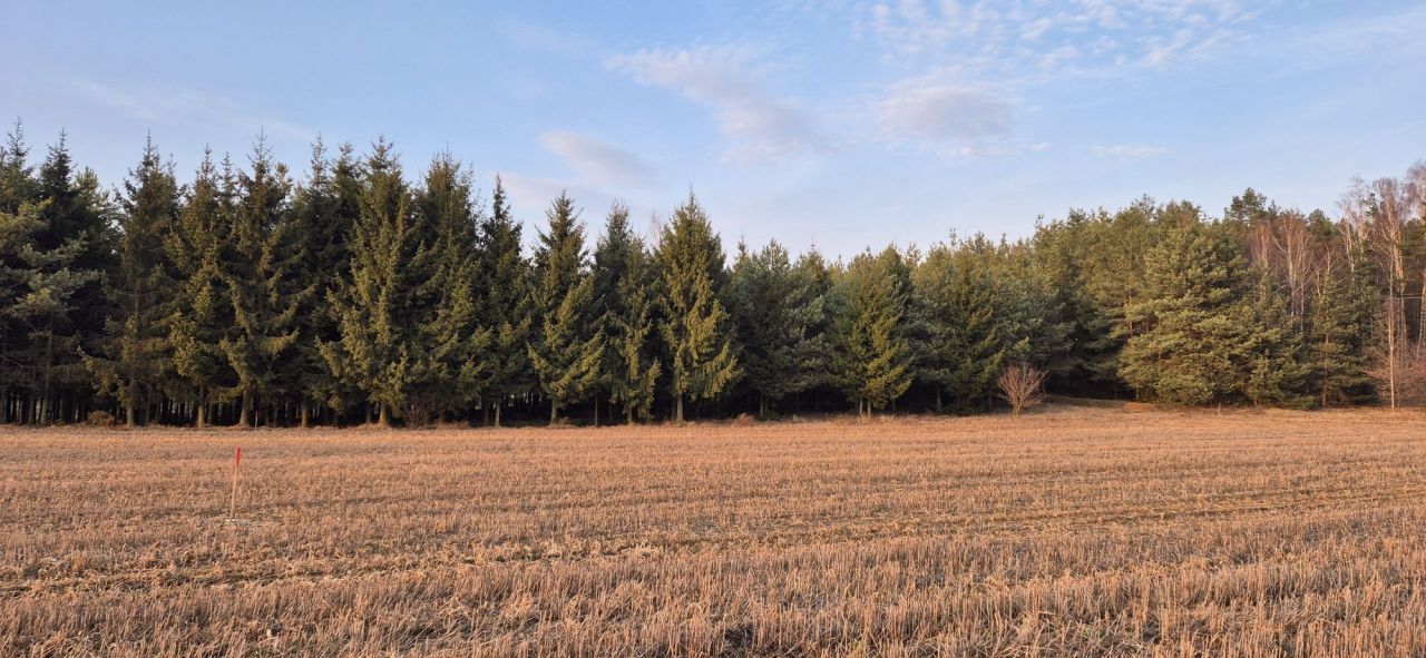 Działka budowlana Osie. Zdjęcie 1