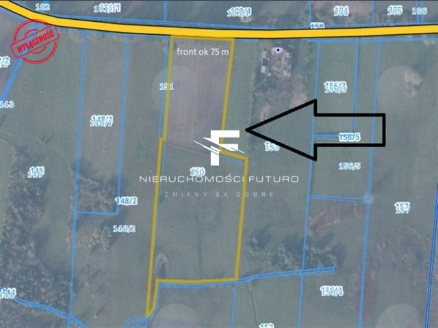 Działka rolna Modrzewo. Zdjęcie 8