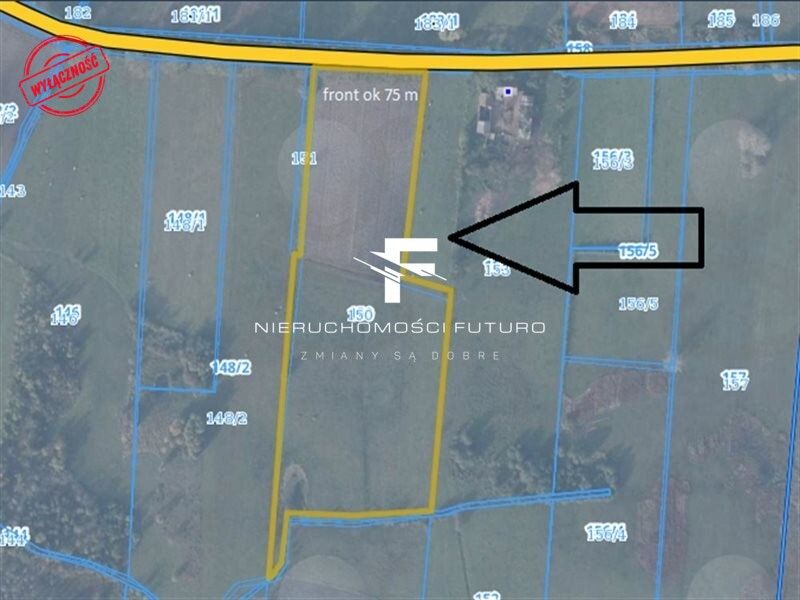 Działka rolna Modrzewo. Zdjęcie 8