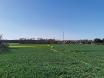 Działka rolno-budowlana Podzamcze kolonia. Zdjęcie 1