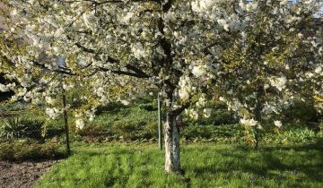 Działka rod Świebodzin