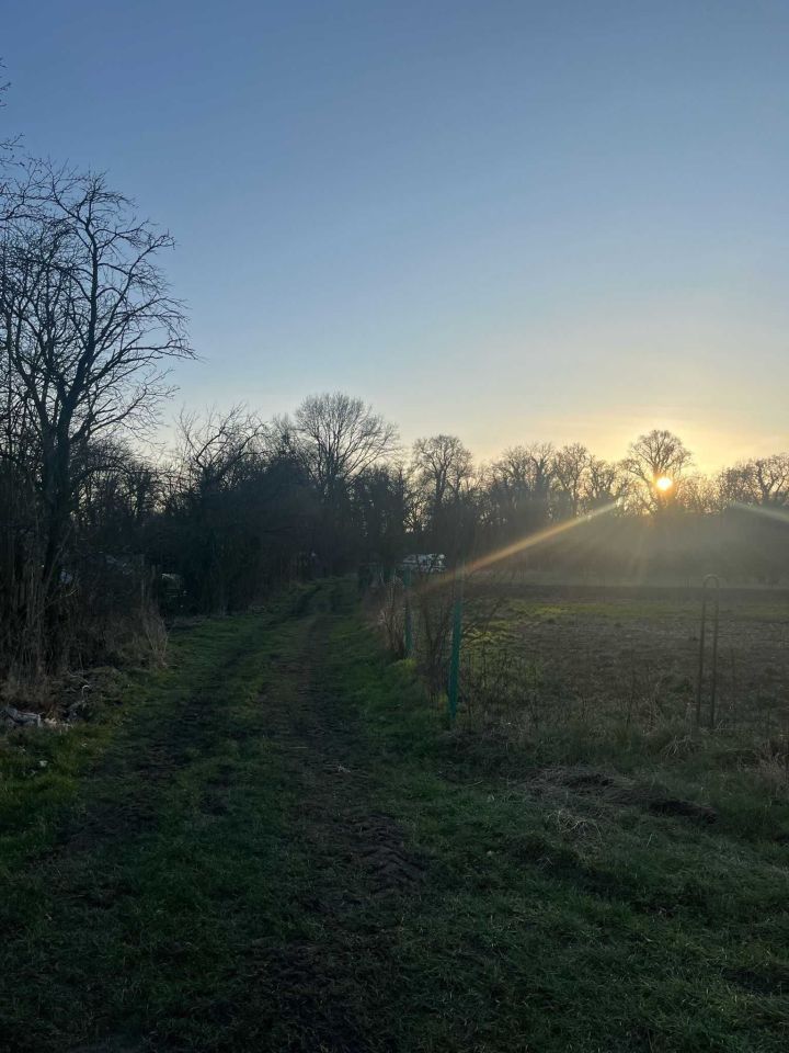 Działka rolno-budowlana Dąbroszyn. Zdjęcie 2