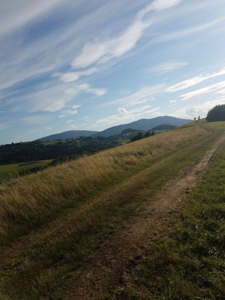 Działka Wilkowisko. Zdjęcie 2