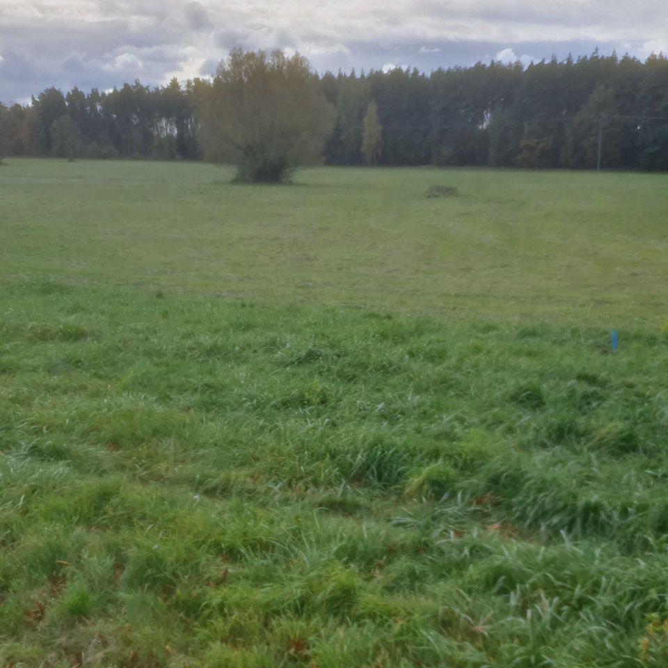 Działka budowlana Łaziska. Zdjęcie 6