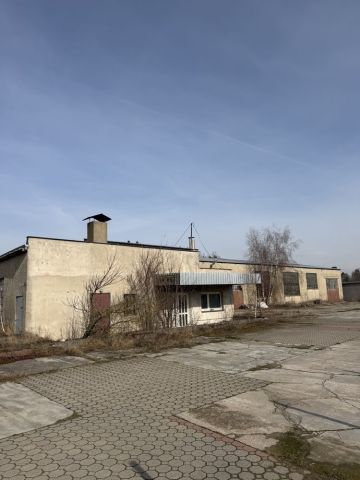 Działka inwestycyjna Suchary. Zdjęcie 1