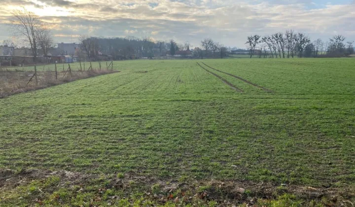 Działka budowlana Kotomierz