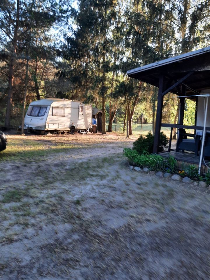 Działka leśna Roztoka