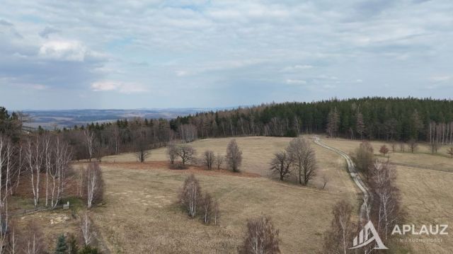 Działka rolna Antoniów. Zdjęcie 5