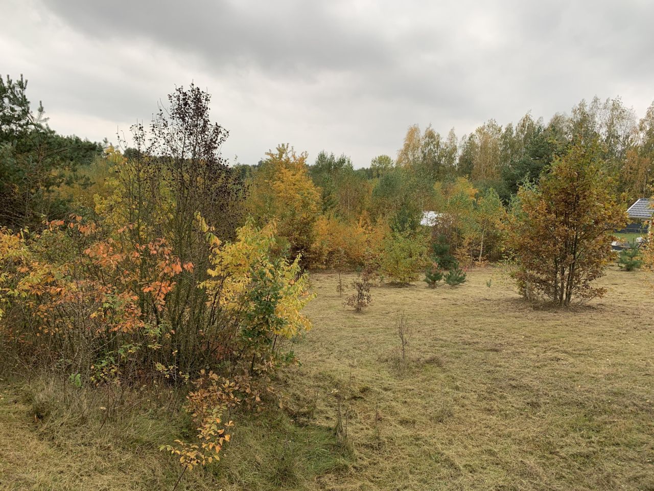 Działka budowlana Cychry. Zdjęcie 5