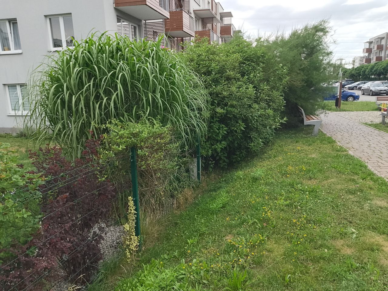 Mieszkanie 2-pokojowe Katowice Piotrowice, ul. Bażantów. Zdjęcie 16