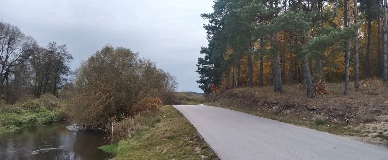Działka rekreacyjna Bizoręda. Zdjęcie 7