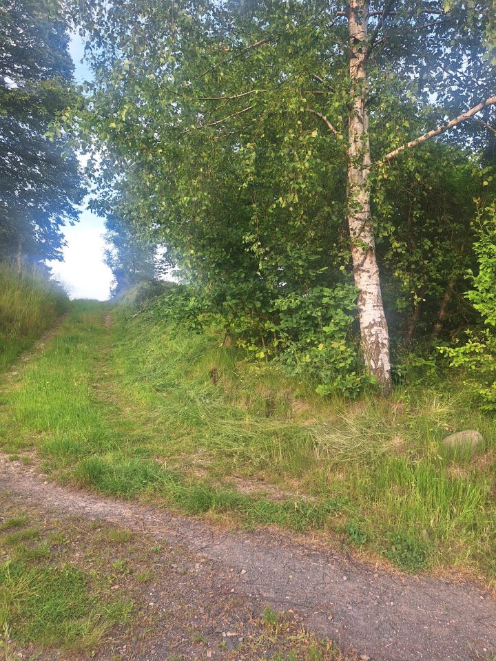 Działka siedliskowa Radostów Górny. Zdjęcie 8