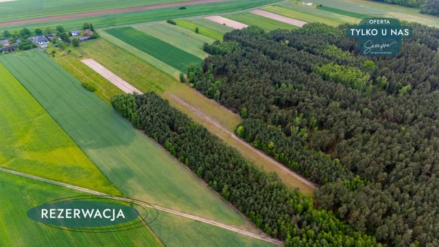 Działka rolna Górki Grabińskie. Zdjęcie 8