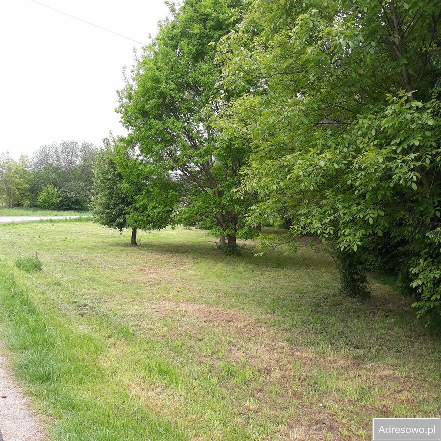 Działka rolna Krosno Białobrzegi. Zdjęcie 6