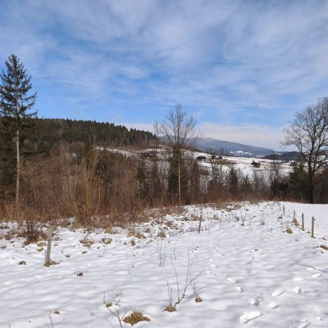 Działka budowlana Raba Niżna. Zdjęcie 1